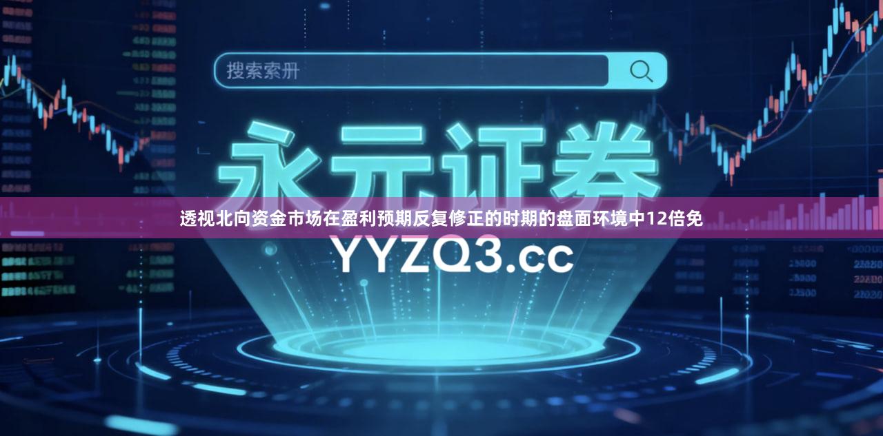 透视北向资金市场在盈利预期反复修正的时期的盘面环境中12倍免